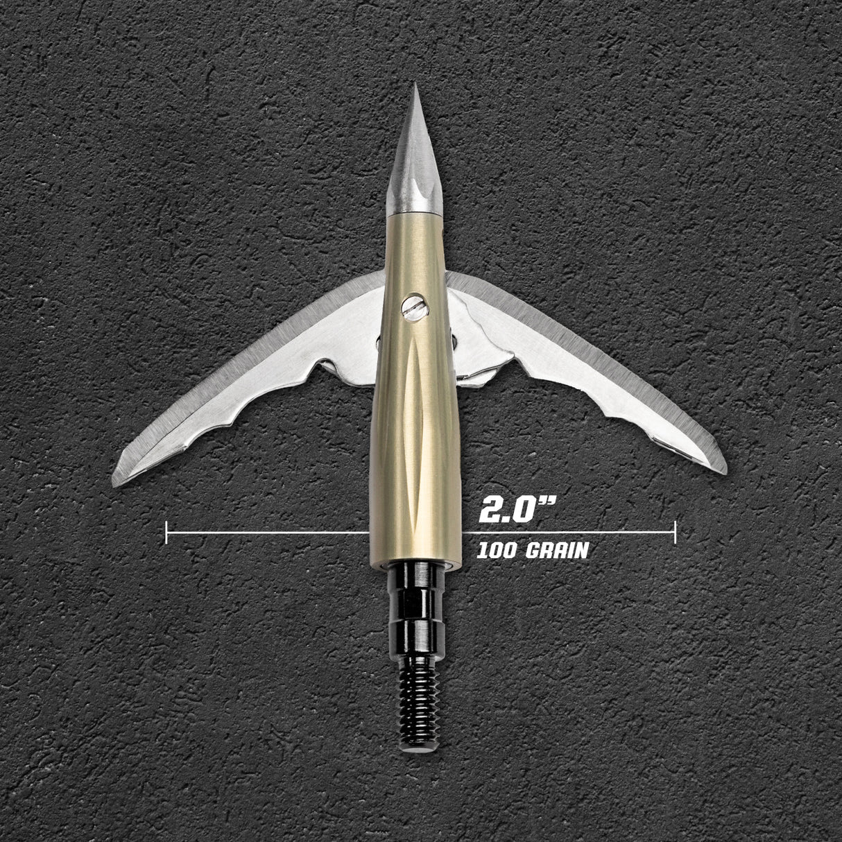 Beast Aluminum Broadheads - 100g, 2.0in, 2 pack + Practice Tip